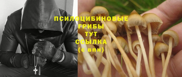 сатива Алексеевка