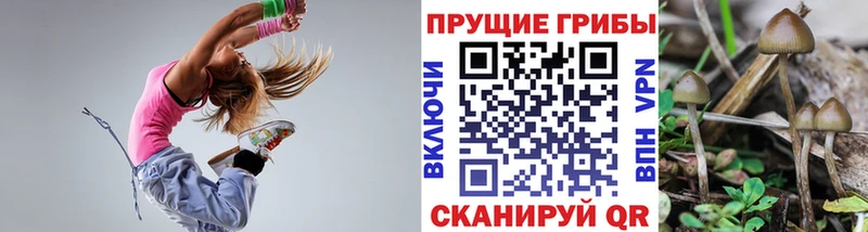 Галлюциногенные грибы Psilocybe  Комсомольск-на-Амуре 